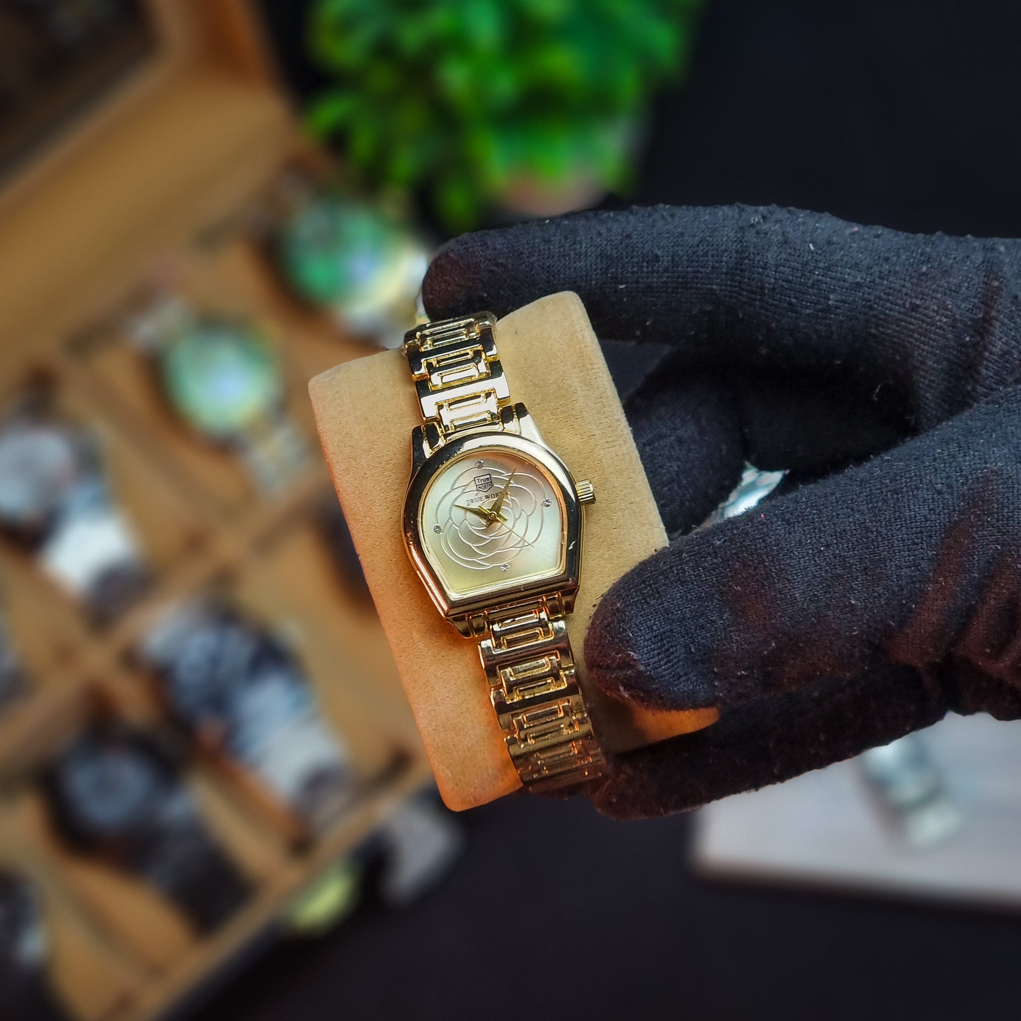 True Worth Collection 3