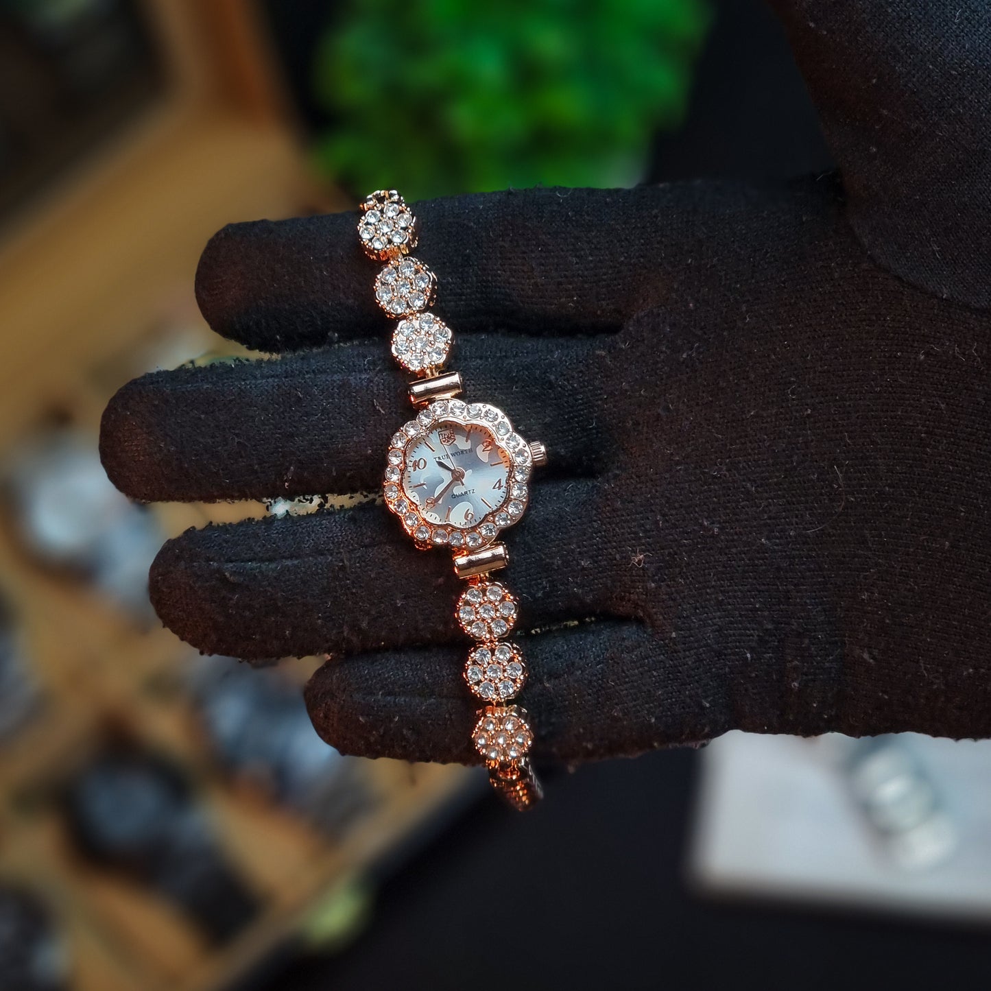 True Worth Collection 2