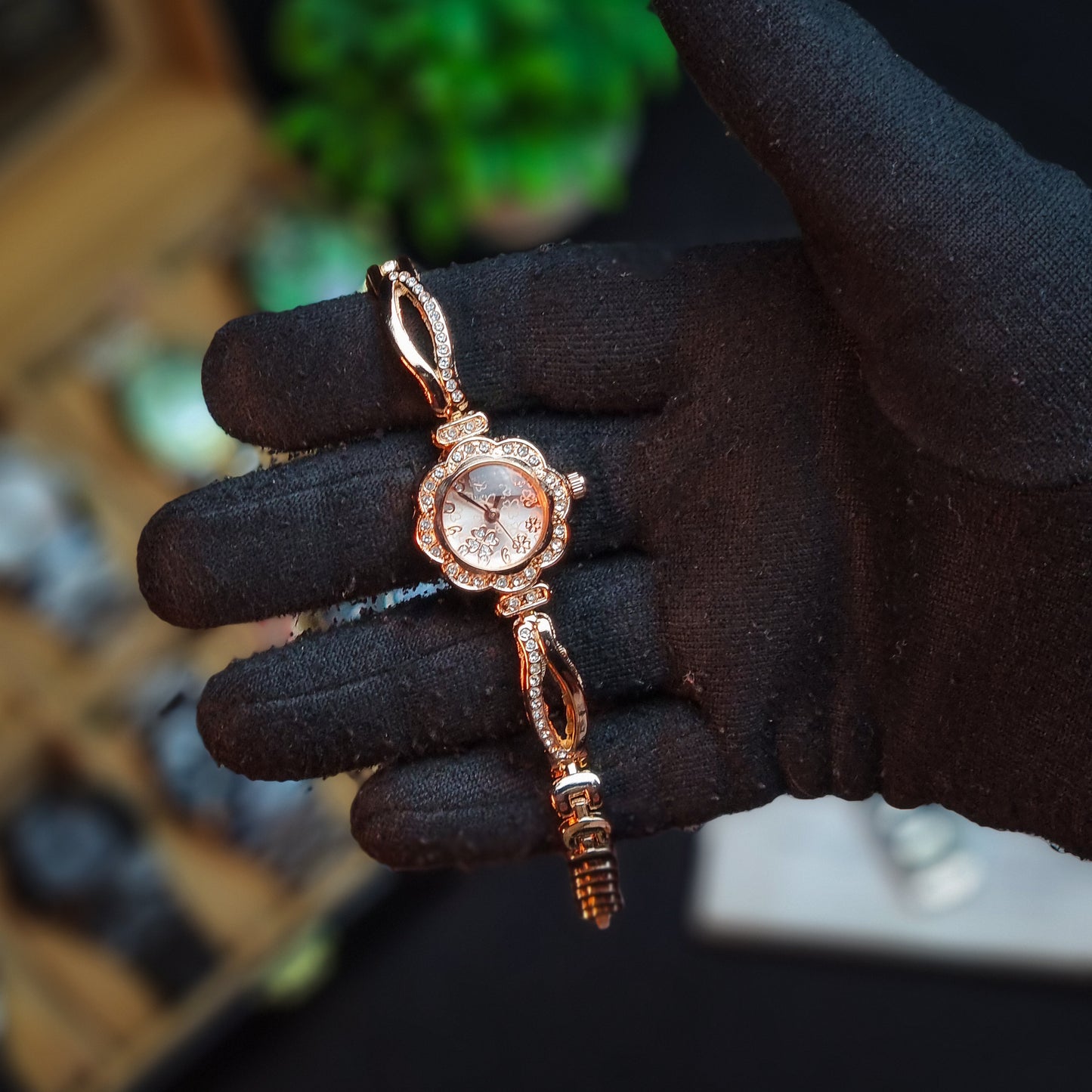 True Worth Collection 2