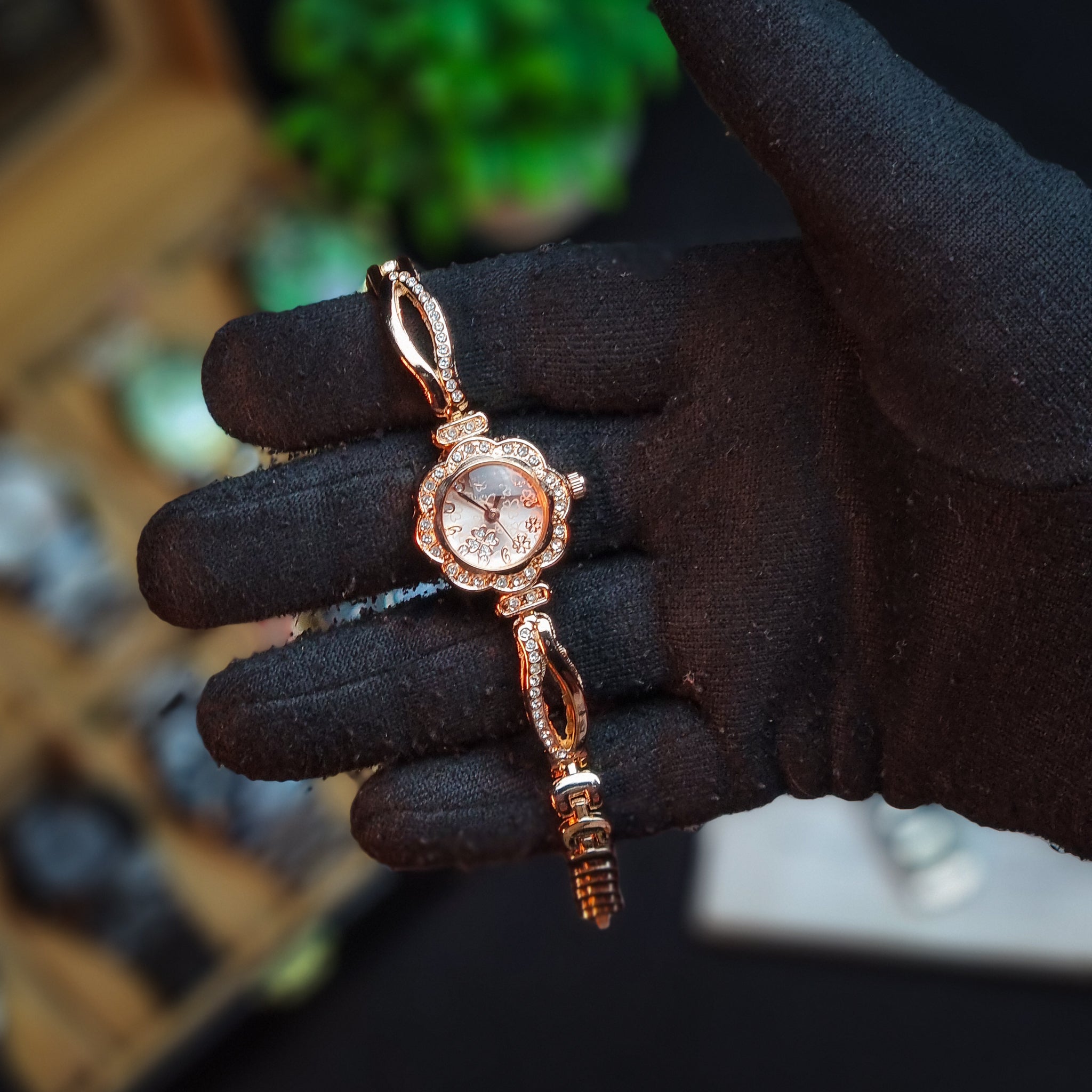 True Worth Collection 2